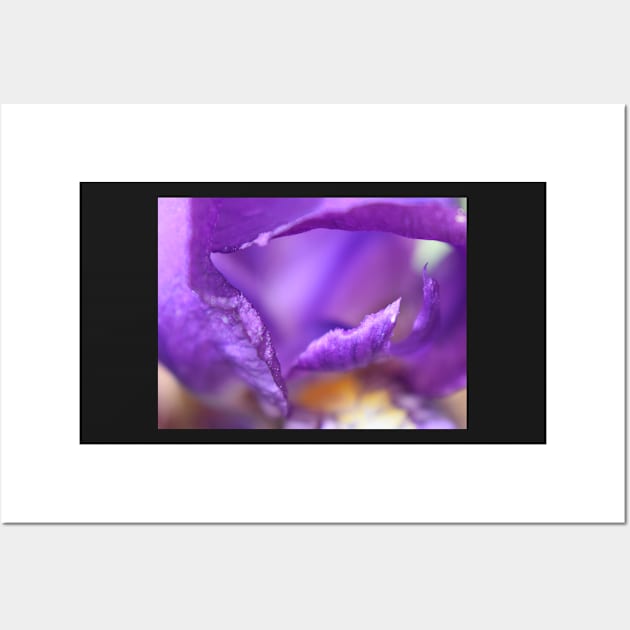 Iris petals Wall Art by ToniaDelozier